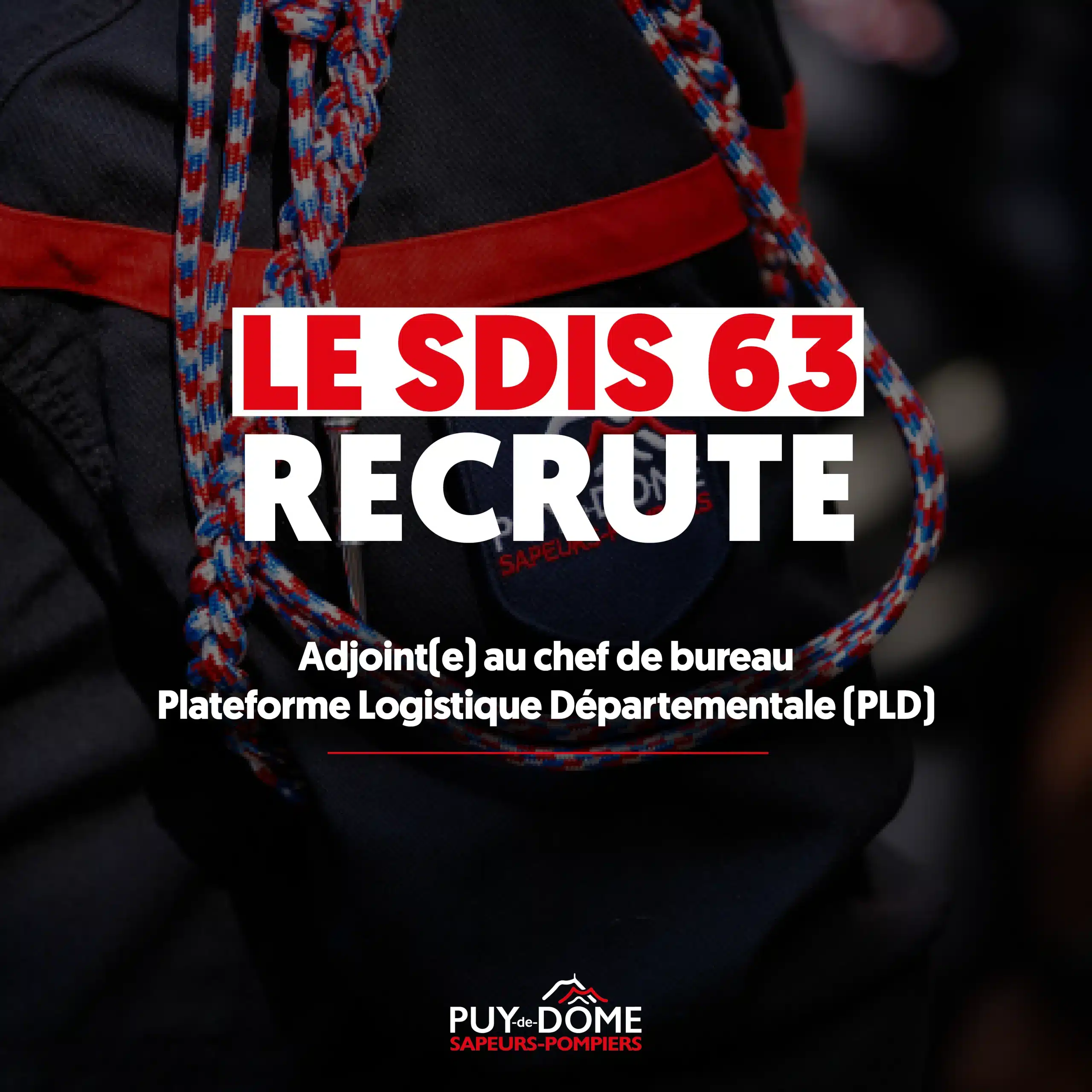 Recrutement – Octobre 2026 PLD